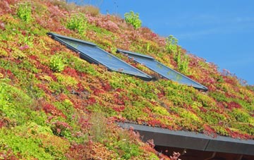 Upper Langwith living roof systems