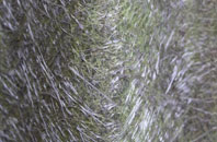 Upper Langwith fibreglass roof work